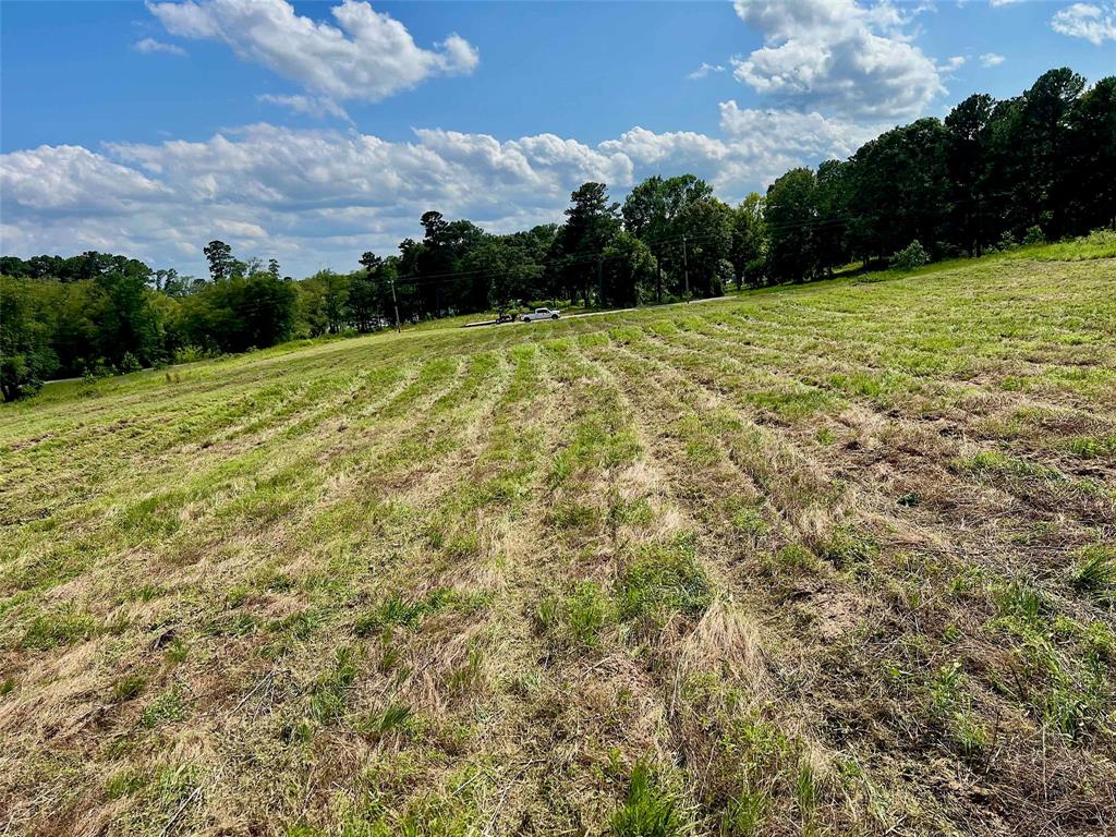 Lot 5 Pr 3398 Road Big Sandy, TX 75755 - Photo 5 of 5 Gallery Image 5