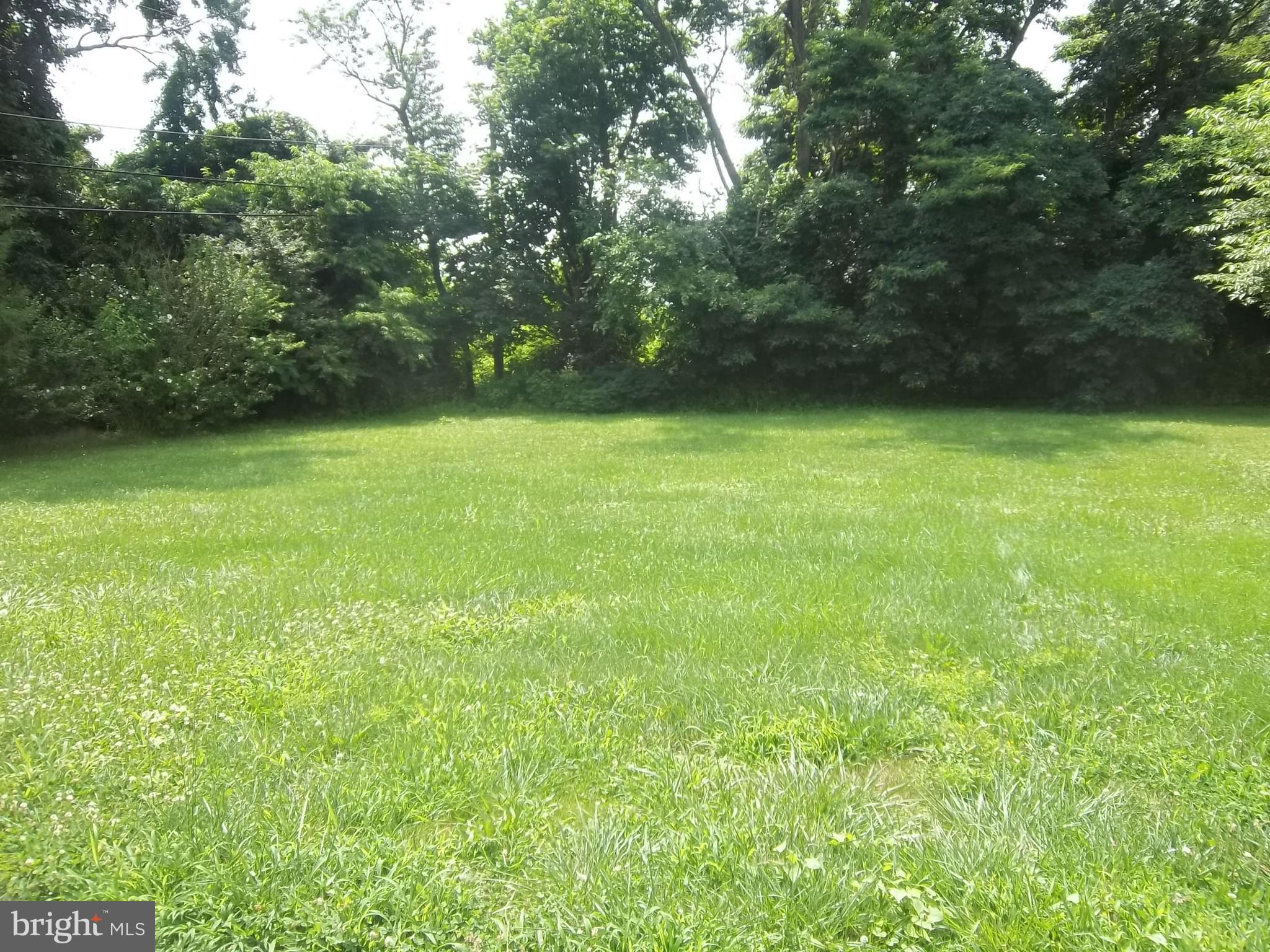 267 Sycamore Road Elkton, MD 21921 - Photo 3 of 11 Backyard