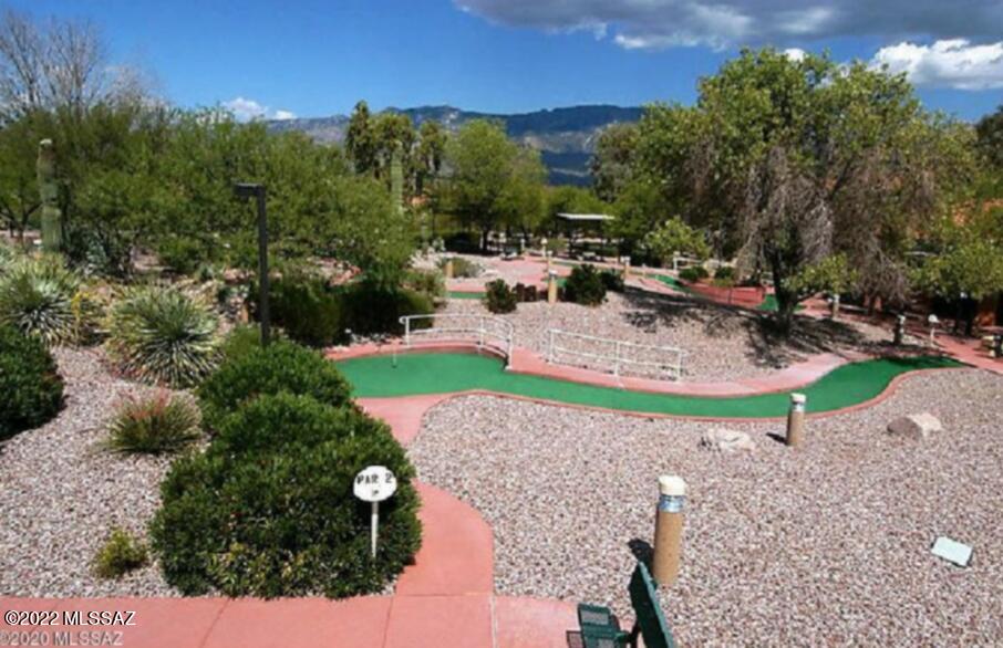 13763 North Buster Spring Way Oro Valley, AZ 85755 - Photo 41 of 50