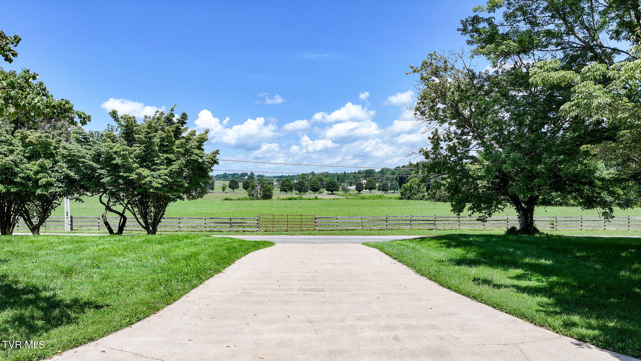 125 Calico Road Afton, TN 37616 - Photo 44 of 53 DJI_20260801203339_0959_D-Edit