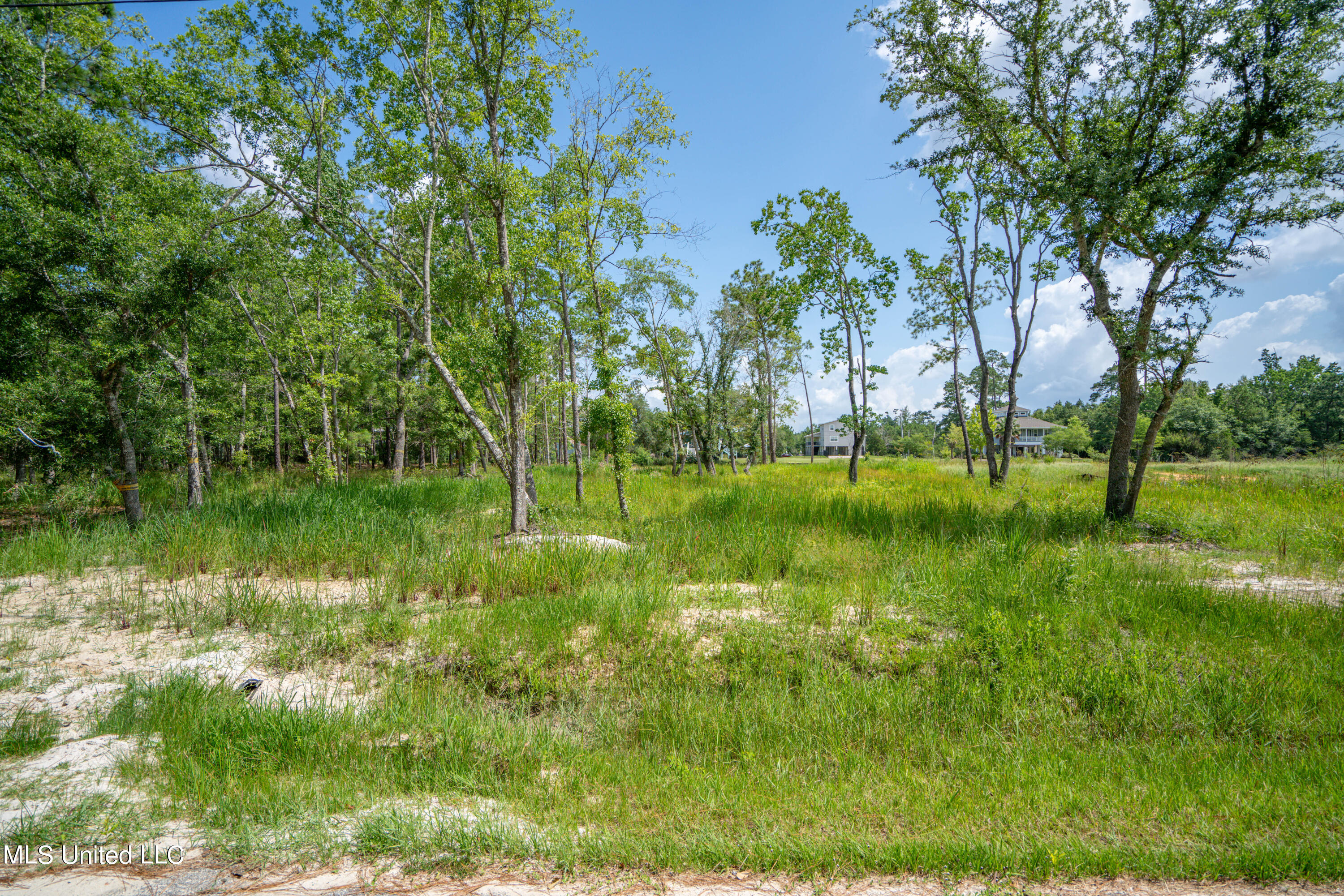 10083 Cain Road Bay St. Louis, MS 39520 - Photo 2 of 17 Cain Rd-1