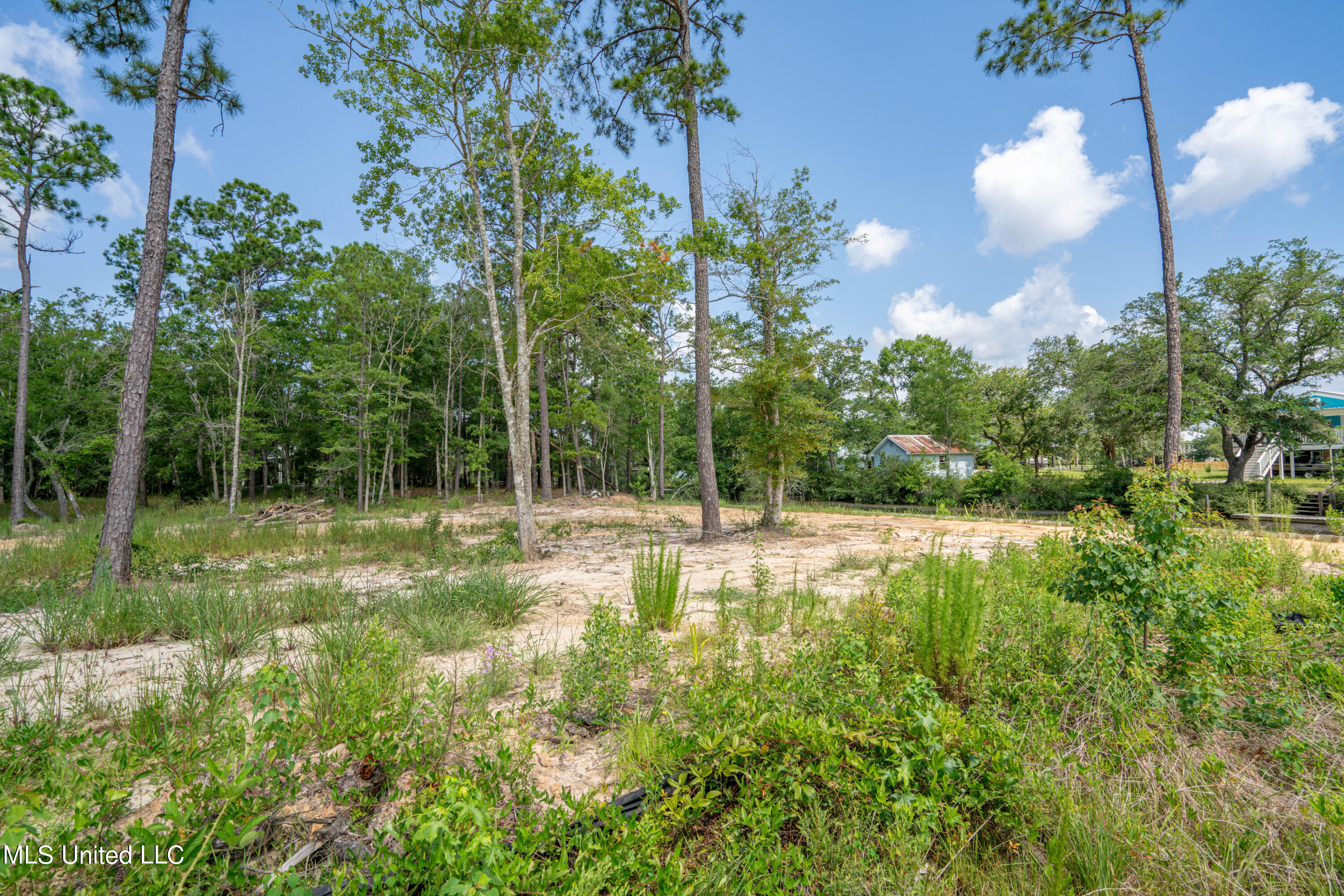 10083 Cain Road Bay St. Louis, MS 39520 - Photo 4 of 17 Cain Rd-3