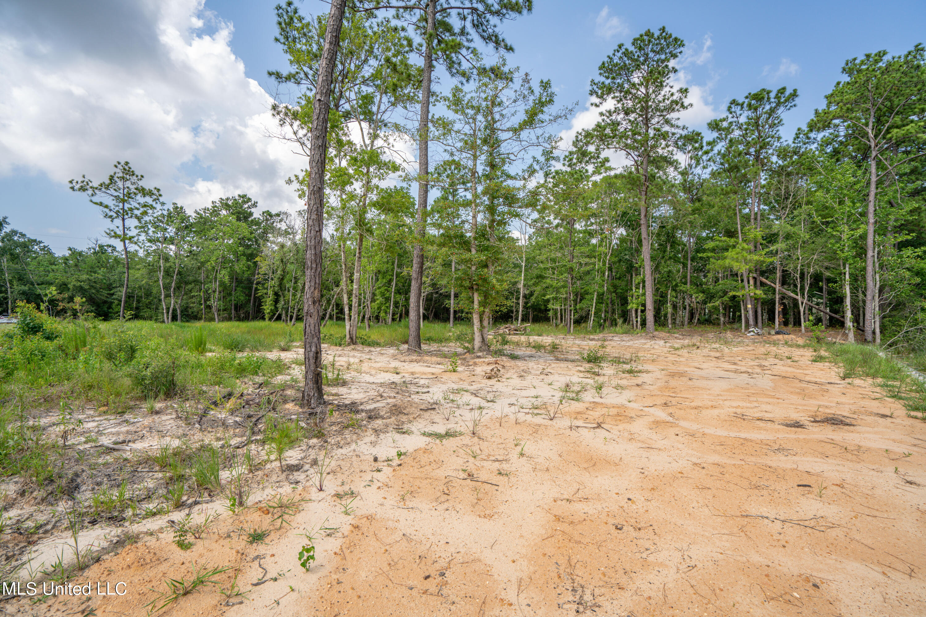10083 Cain Road Bay St. Louis, MS 39520 - Photo 5 of 17 Cain Rd-4