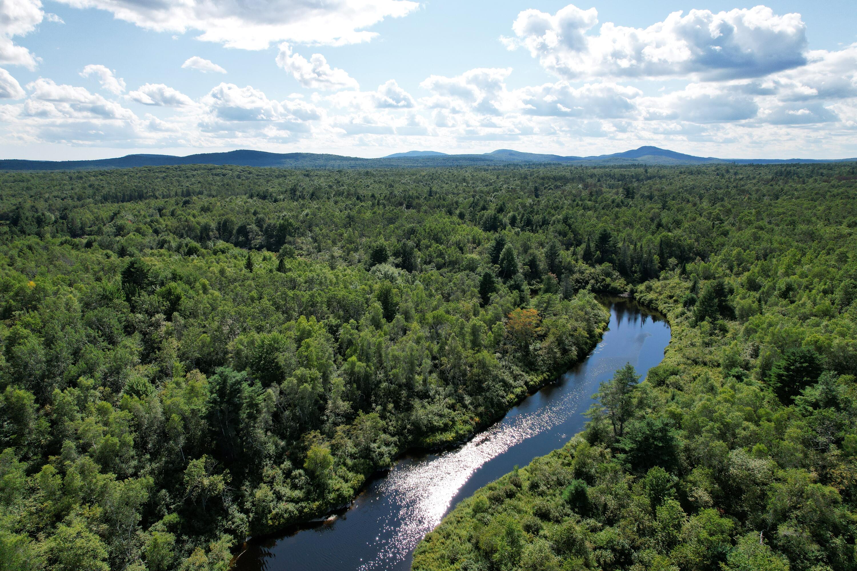 Lot 46 Lane Road Cherryfield, ME 04622 - Photo 6 of 20 Narraguagus