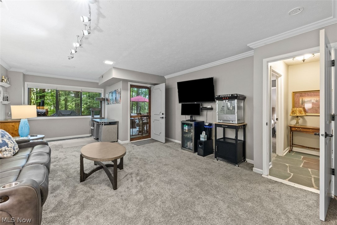 171 Granger Road, Unit 107 Medina, OH 44256 - Photo 32 of 41 Expansive room featuring light gray walls, plush carpeting and crown molding overlooking the woods. Could be used for an office or 3rd bedroom.