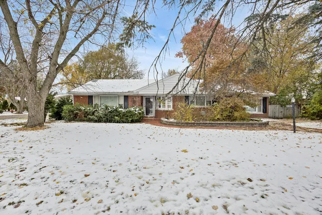 a view of road with large trees