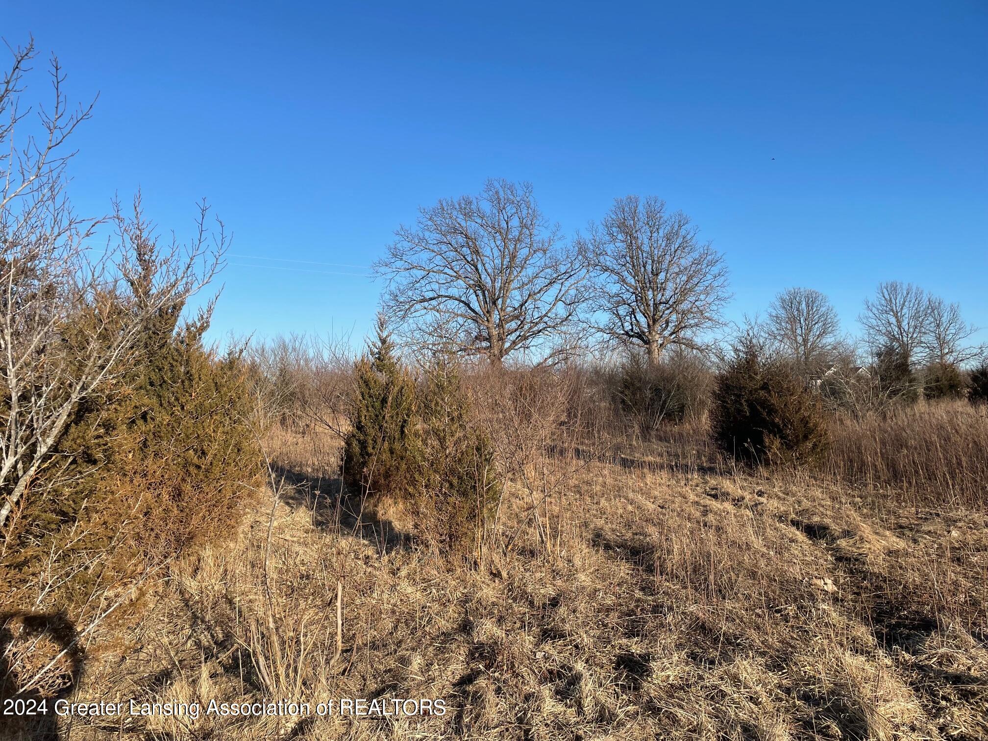 Na Lemon Road Bancroft, MI 48414 - Photo 8 of 10 image_7