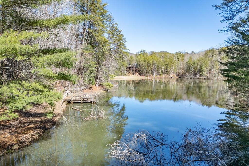 396 Valley View Road Ellijay, GA 30536 - Photo 30 of 34 Gallery Image 30