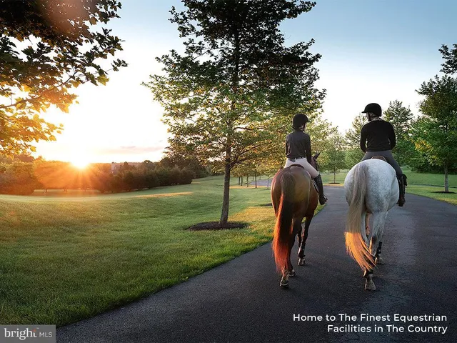 $2,950,000 | 505 Martingale Ridge Drive, Middleburg, VA 20117