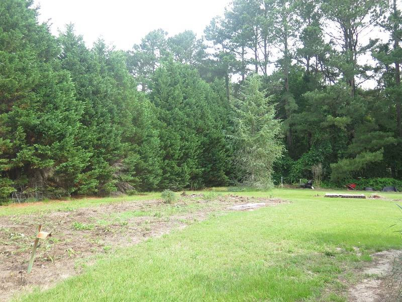 1540 Honeycutt Road Willow Spring, NC 27592 - Photo 15 of 16 Photo 15