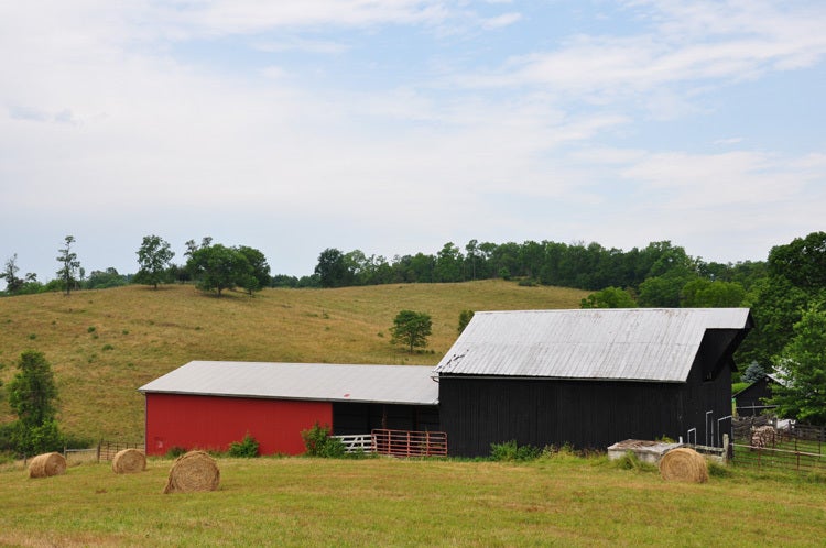 2096 Charles Boothe Road Sinks Grove, WV 24976 - Photo 9 of 52 Gallery Image 9