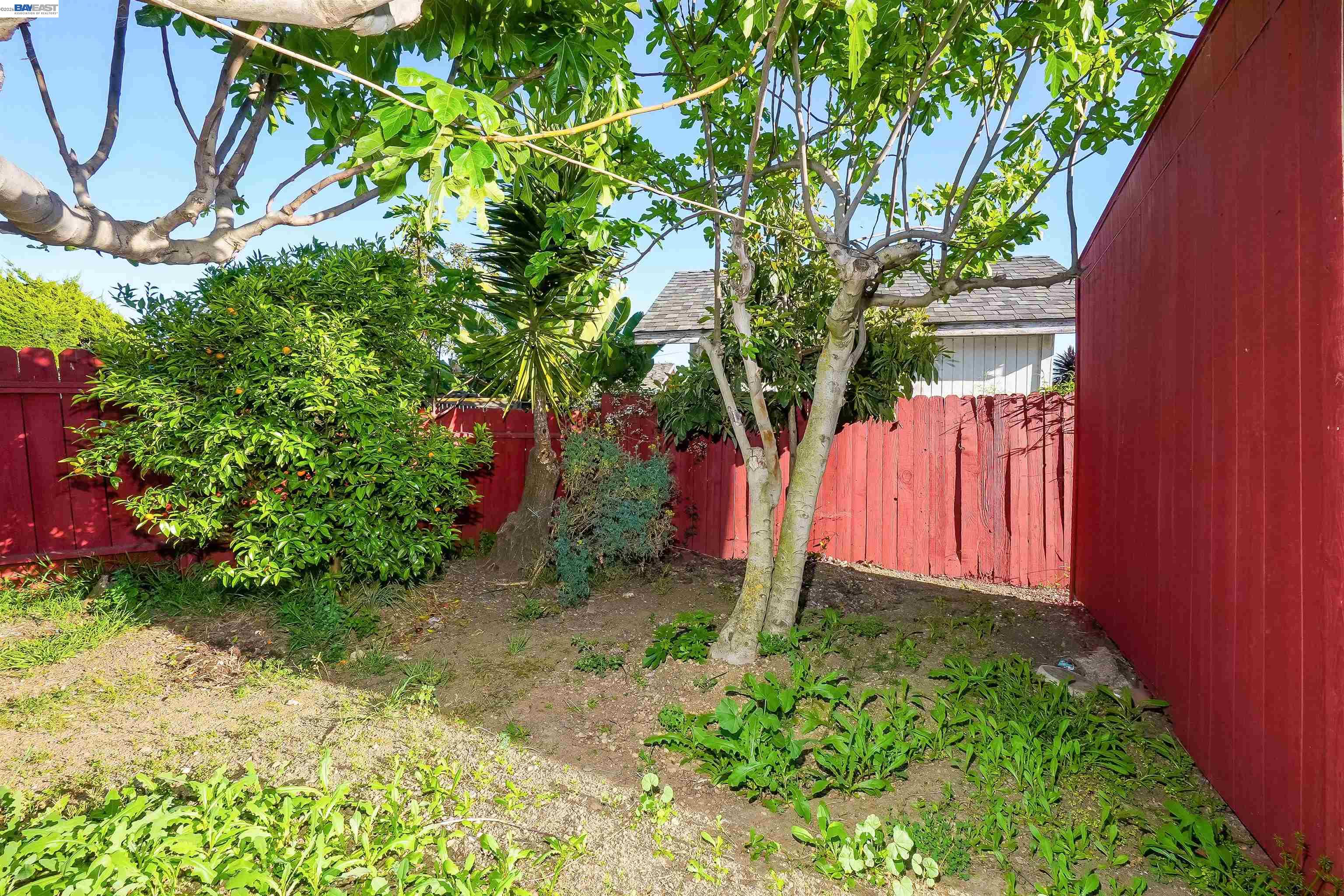 387 Tennyson Road Hayward, CA 94544 - Photo 39 of 48 a view of a backyard with plants
