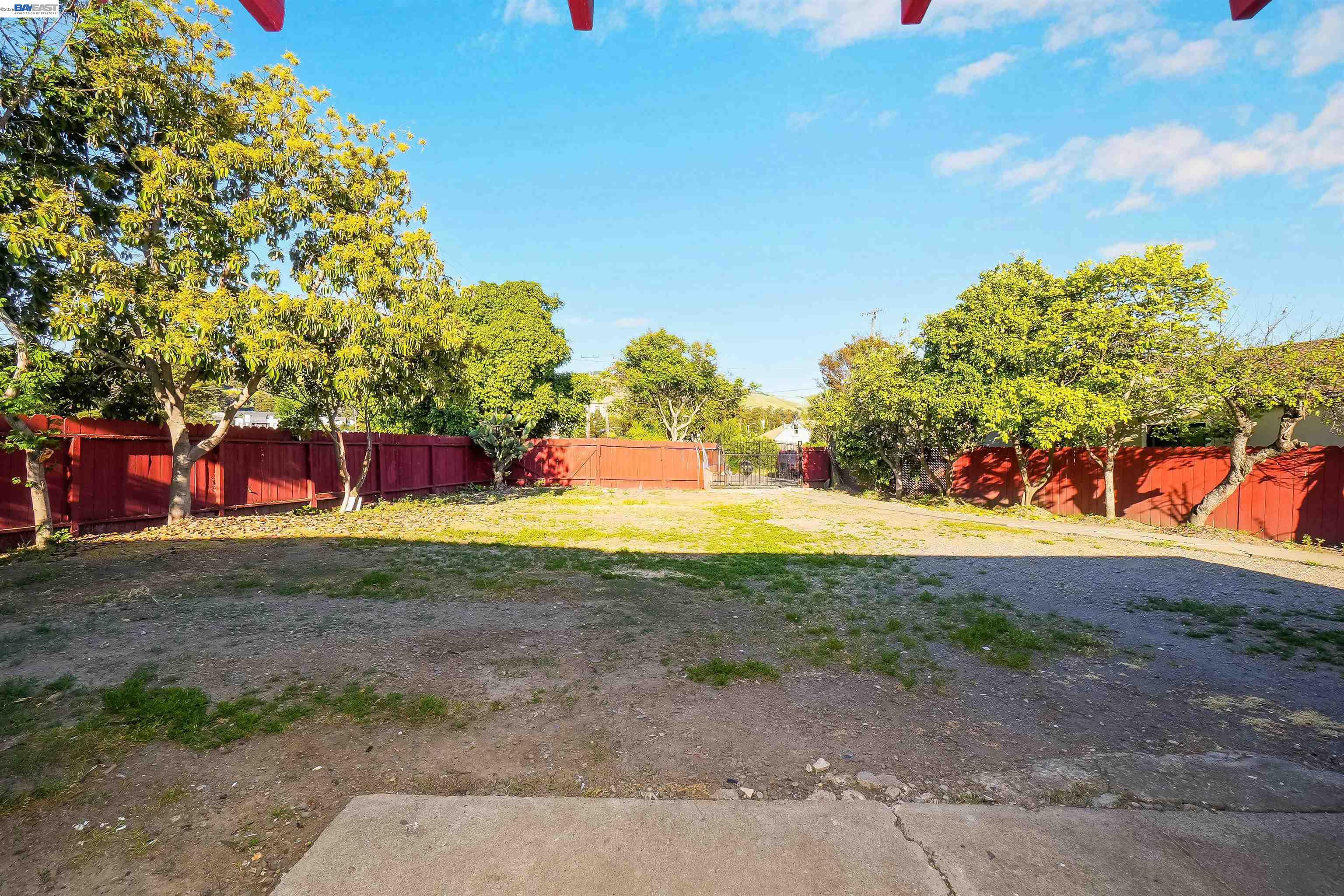 387 Tennyson Road Hayward, CA 94544 - Photo 40 of 48 a view of a yard with a tree