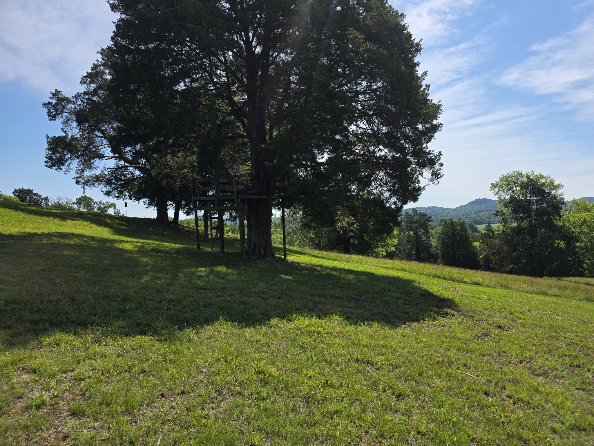 4 Lewis James Lane Riddleton, TN 37151 - Photo 54 of 62