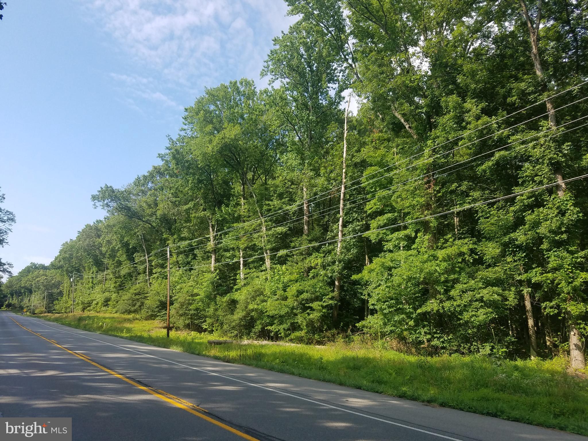 Hawthorne Indian Head, MD 20640 - Photo 2 of 3 a view of a yard