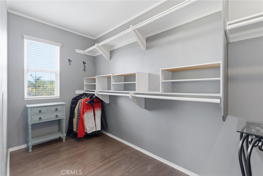 17765 Cape Jasmine Road Canyon Country, CA 91387 - Photo 45 of 57 Primary Bedroom Walk In Closet