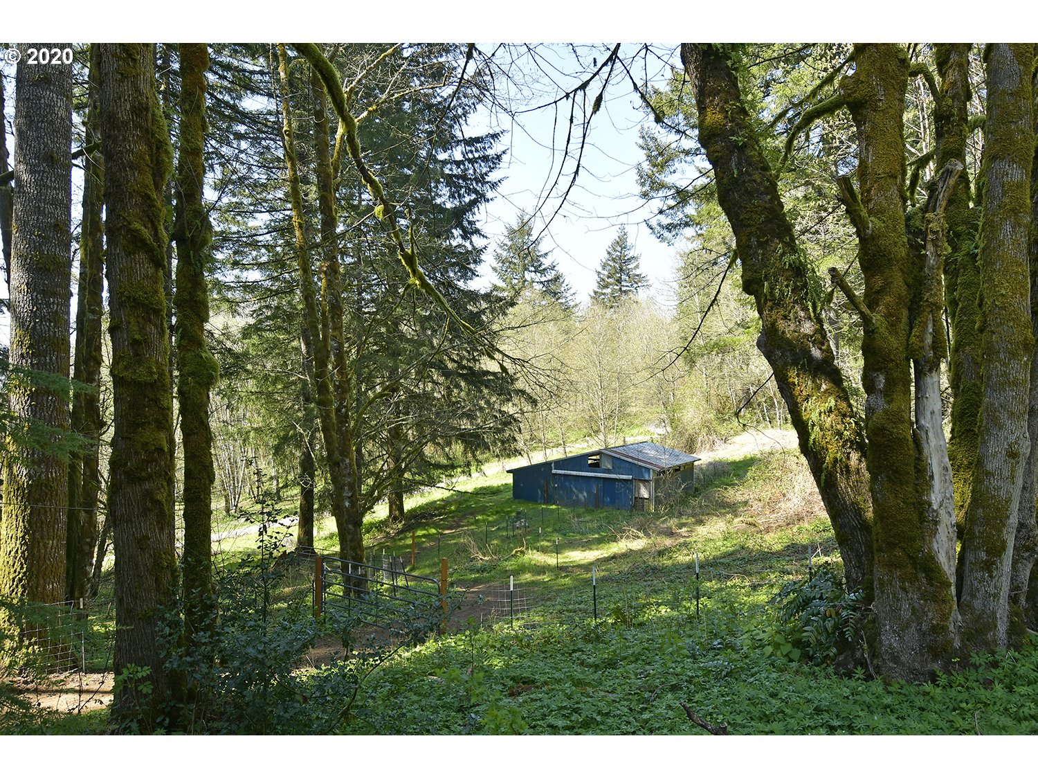 12702 Northeast Proctor Road Woodland, WA 98674 - Photo 10 of 31 Gallery Image 10