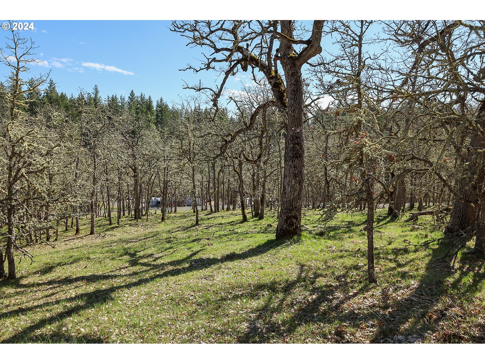 Secluded Way, Unit 2 Lyle, WA 98635 - Photo 11 of 15 a big yard with lots of green space