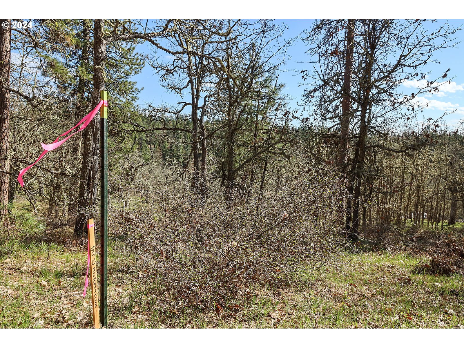 Secluded Way, Unit 2 Lyle, WA 98635 - Photo 4 of 15 a backyard of a house with lots of green space