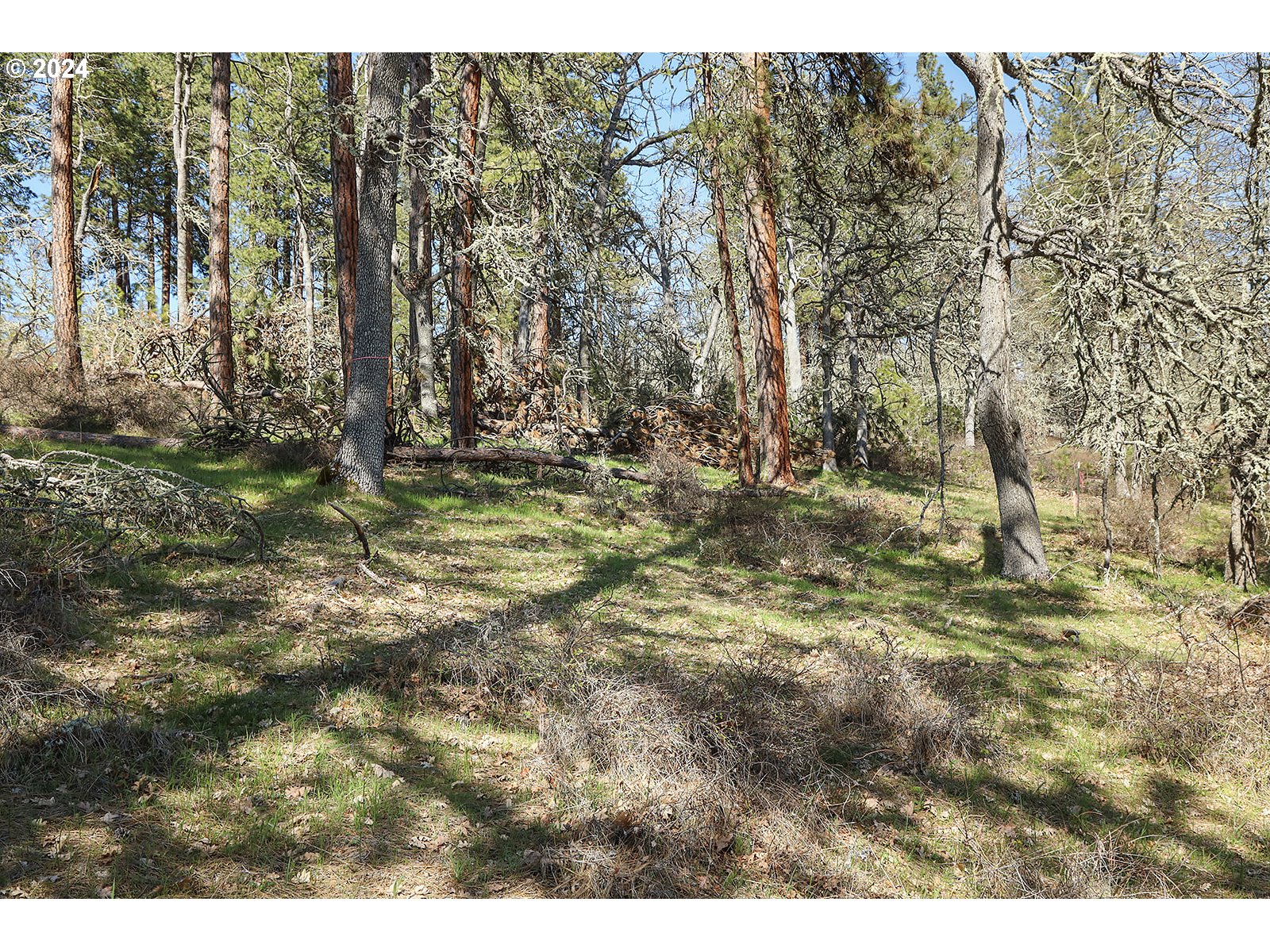 Secluded Way, Unit 2 Lyle, WA 98635 - Photo 9 of 15 a view of a yard with trees in the background