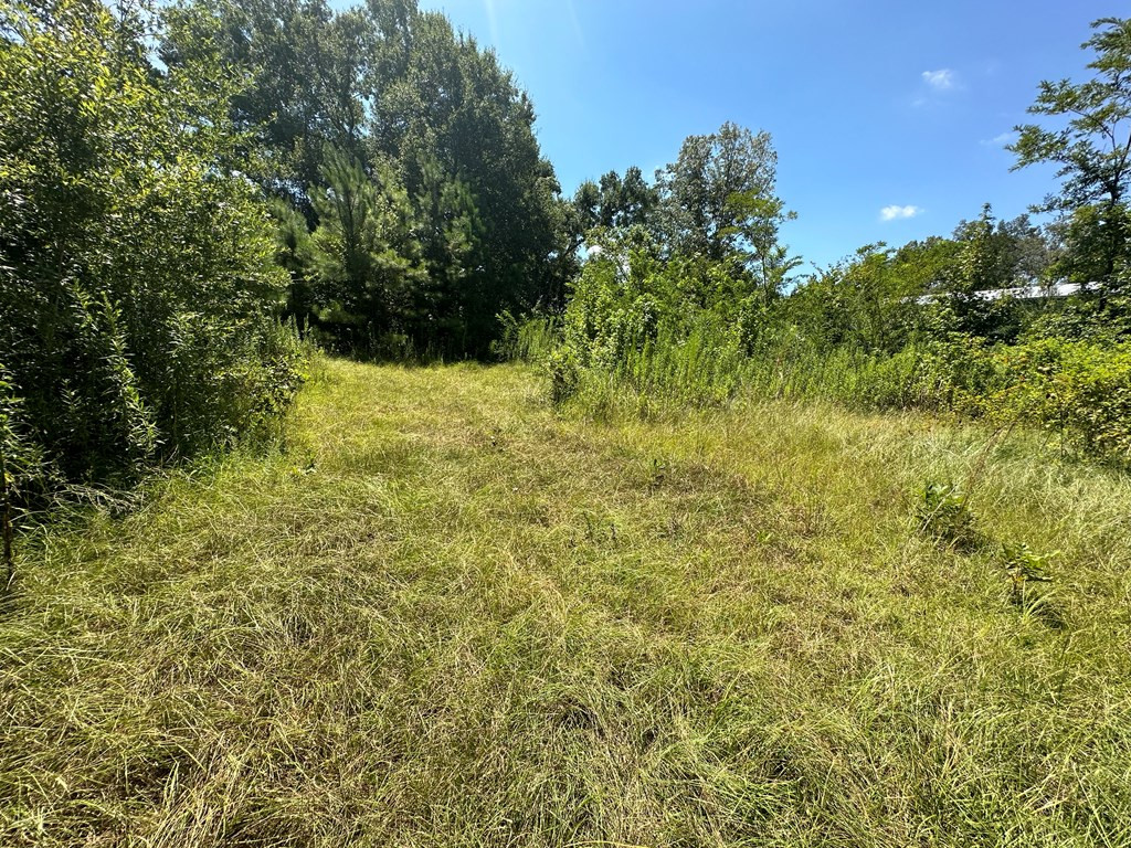 397 Cranfield Road Roxie, MS 39661 - Photo 8 of 18 Photo 8