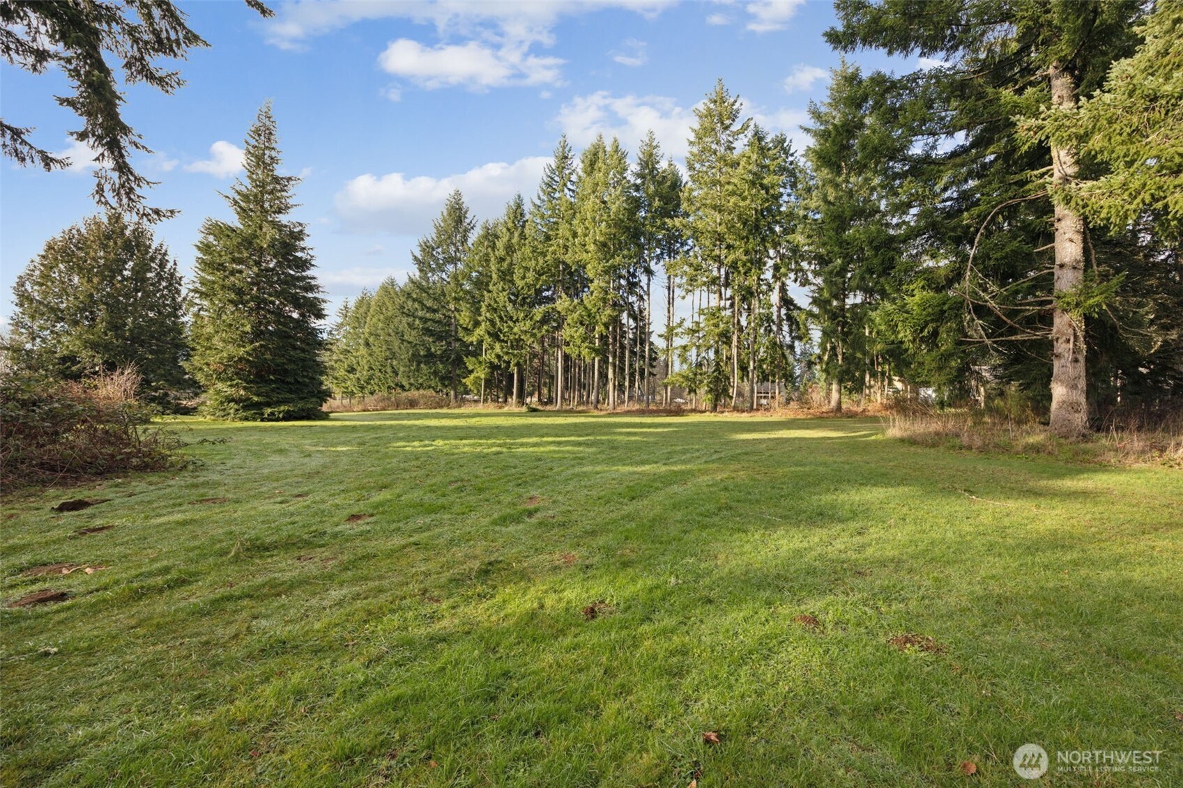 4130 87th Avenue Southeast Olympia, WA 98501 - Photo 27 of 40