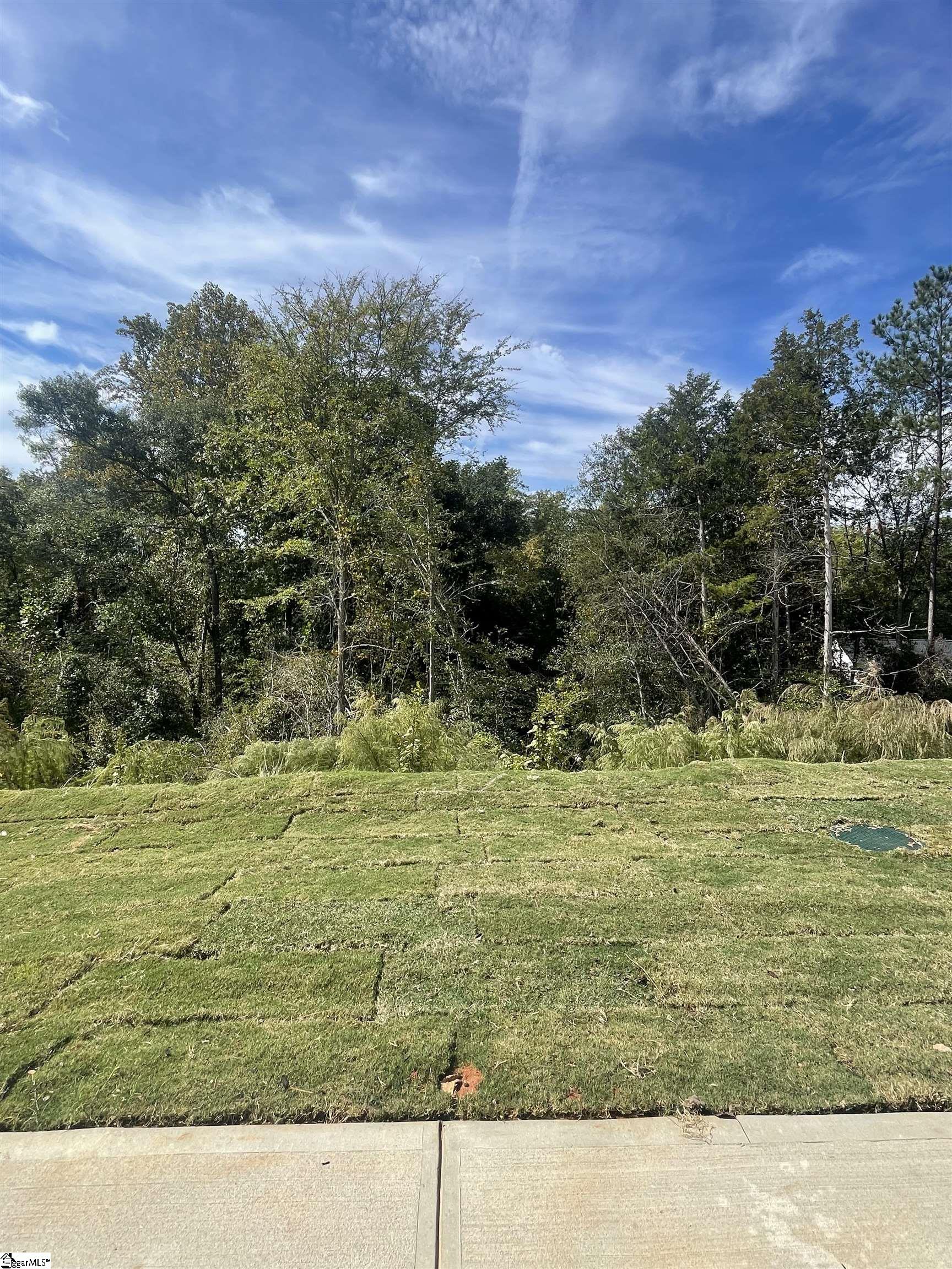 21 Sweetgrass Street Central, SC 29630 - Photo 19 of 44