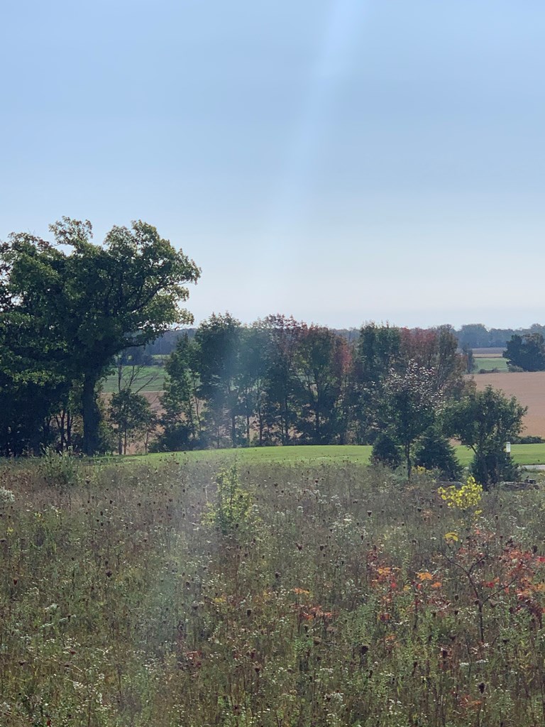 Lot 42 Ida Red Road Egg Harbor, WI 54209 - Photo 2 of 6 Gallery Image 2