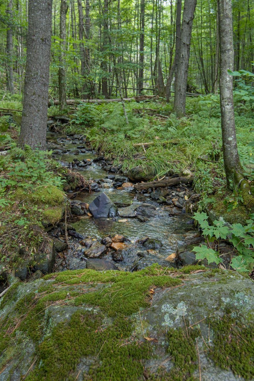 627 Hague Road Dummerston, VT 05301 - Photo 18 of 26