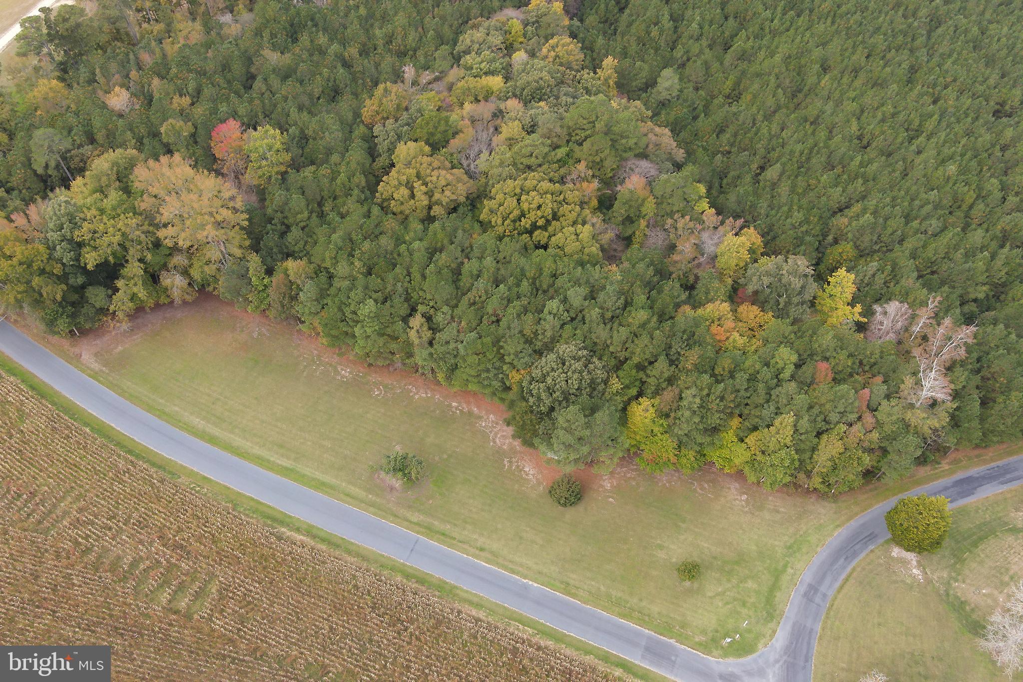 0 Yacht Club Road Eden, MD 21822 - Photo 11 of 13