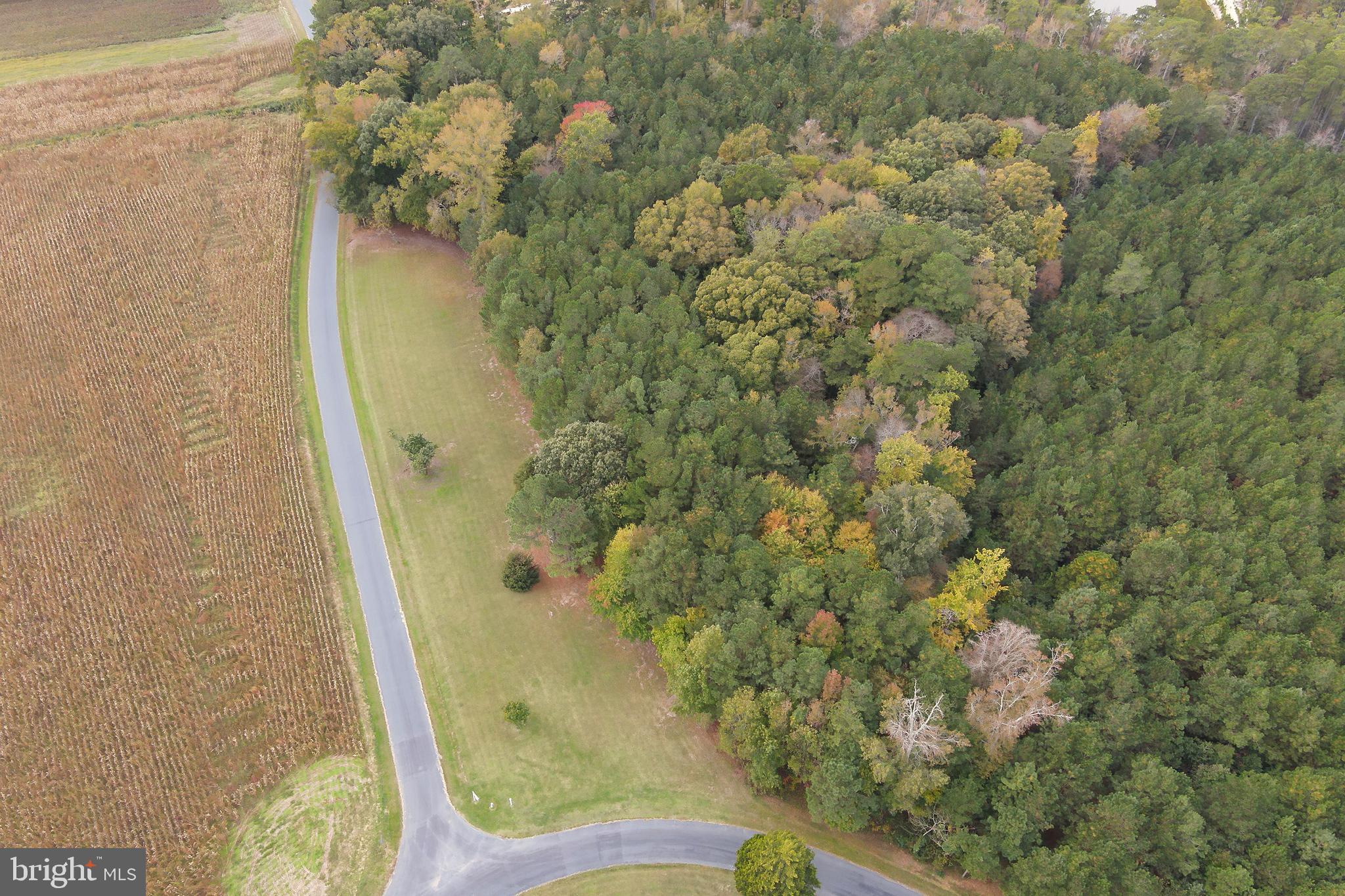 0 Yacht Club Road Eden, MD 21822 - Photo 12 of 13