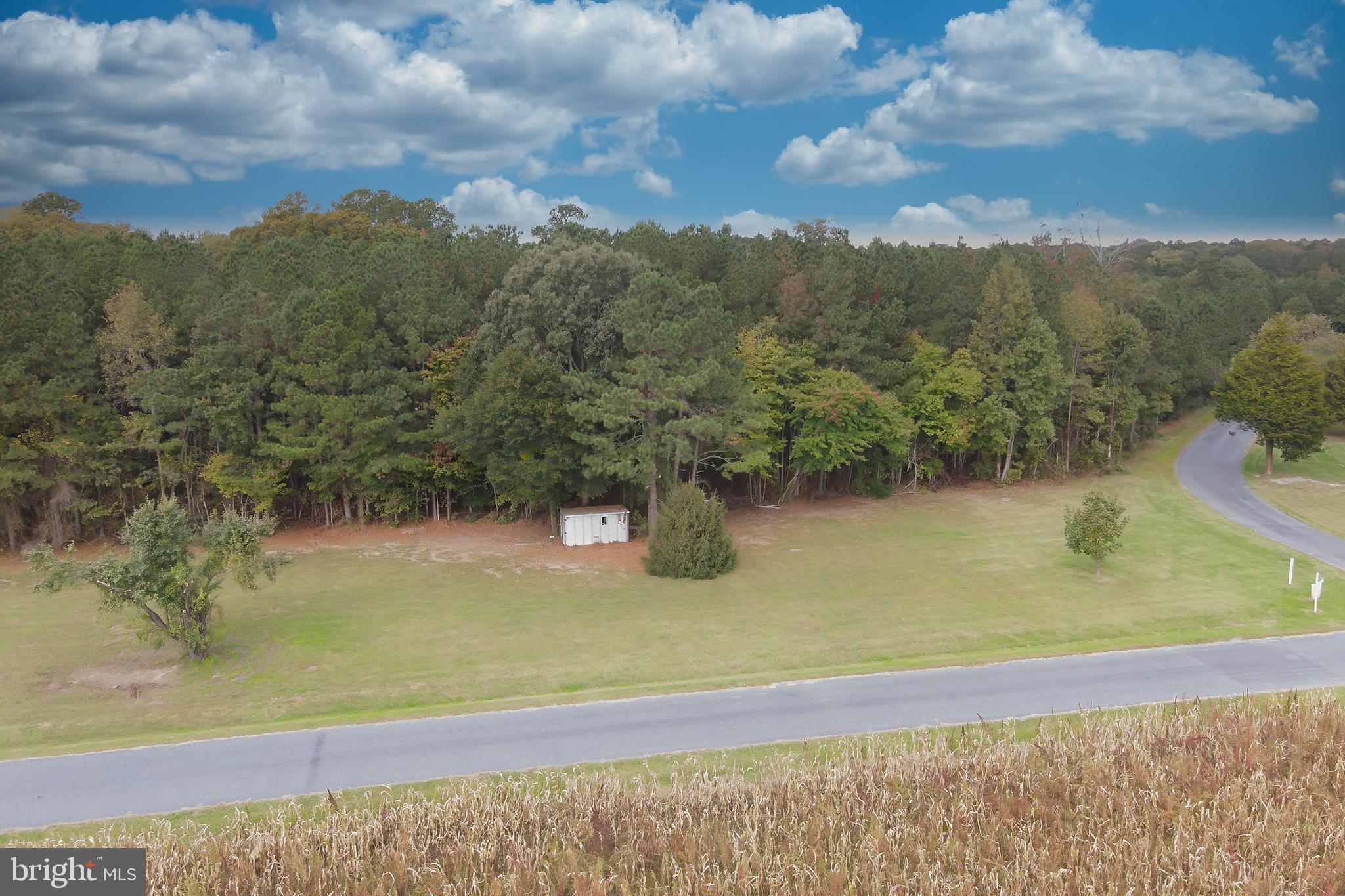 0 Yacht Club Road Eden, MD 21822 - Photo 13 of 13