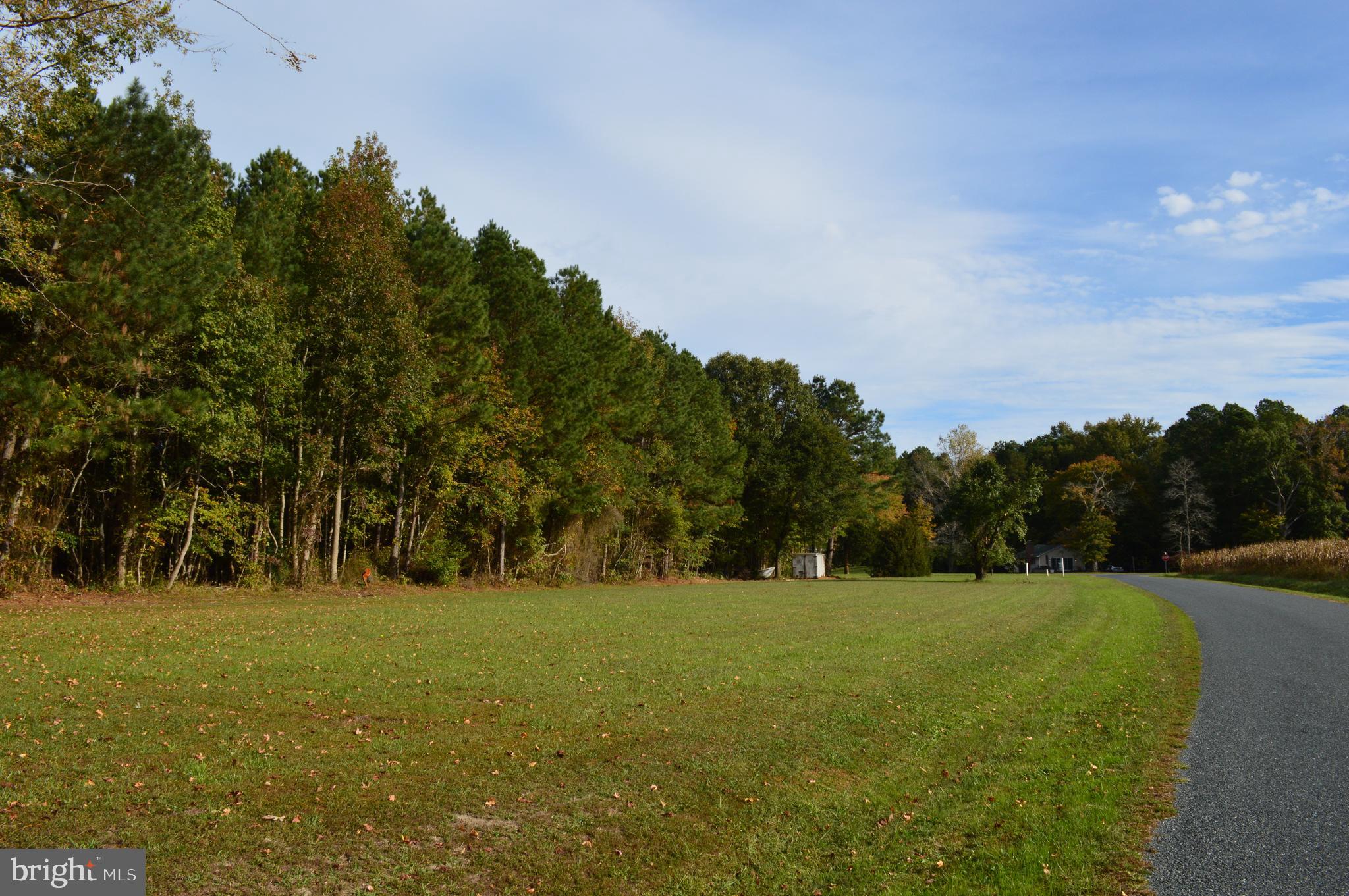 0 Yacht Club Road Eden, MD 21822 - Photo 3 of 13