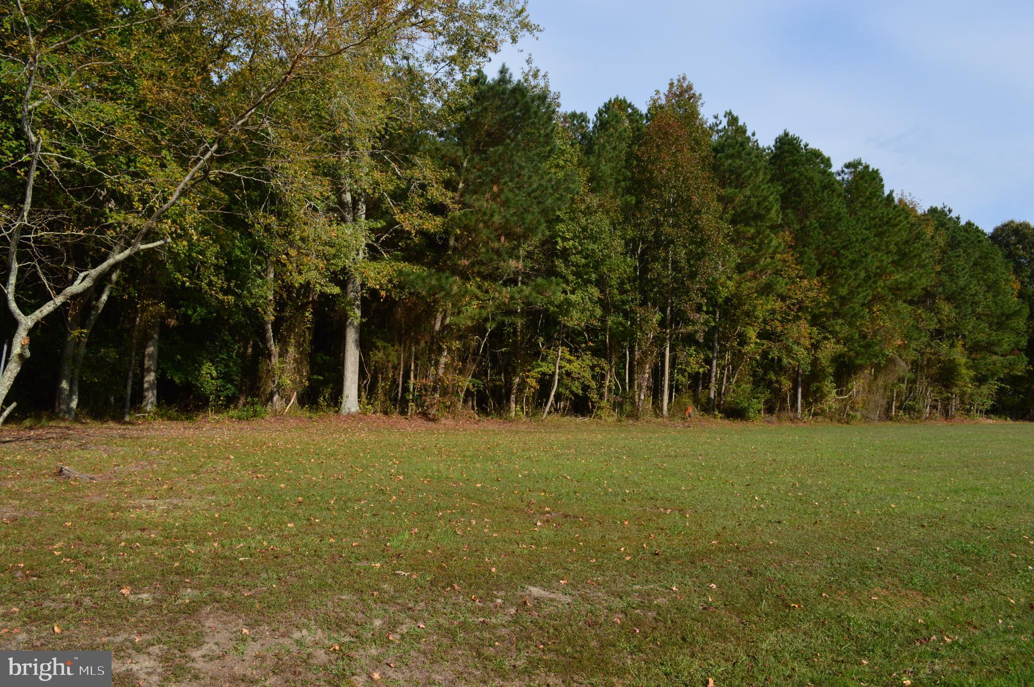 0 Yacht Club Road Eden, MD 21822 - Photo 4 of 13