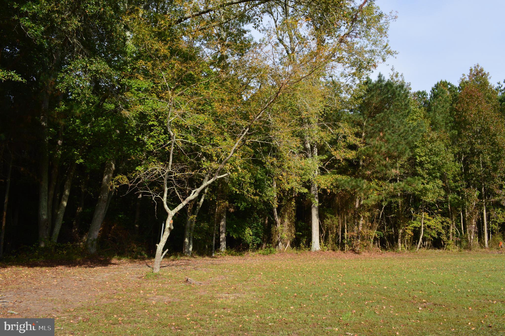 0 Yacht Club Road Eden, MD 21822 - Photo 5 of 13