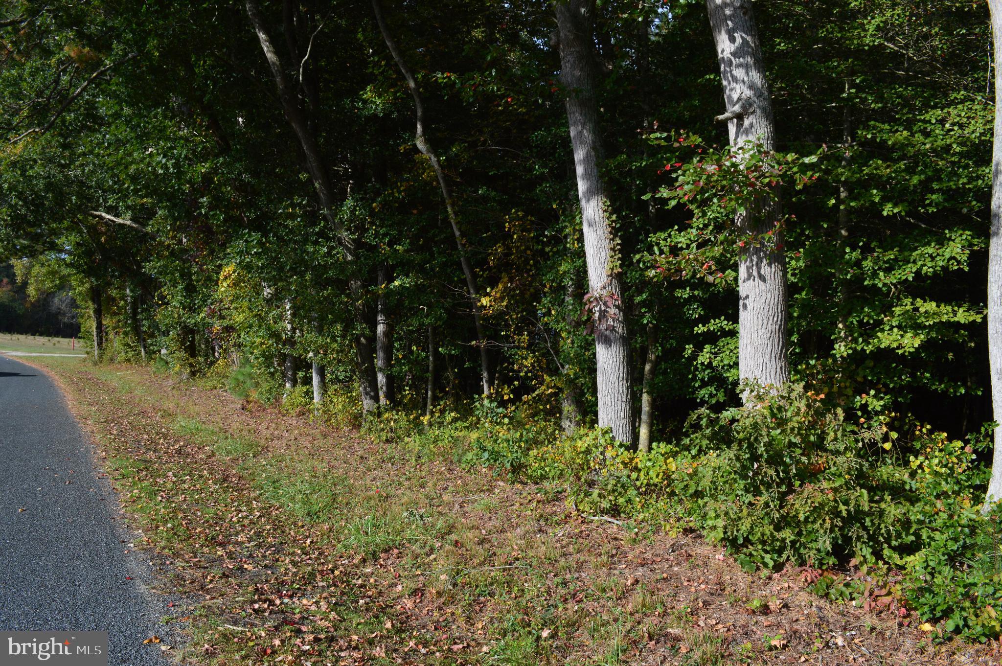 0 Yacht Club Road Eden, MD 21822 - Photo 8 of 13