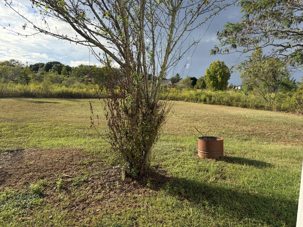 185 Hannah Road Daleville, AL 36322 - Photo 42 of 56 Gallery Image 42