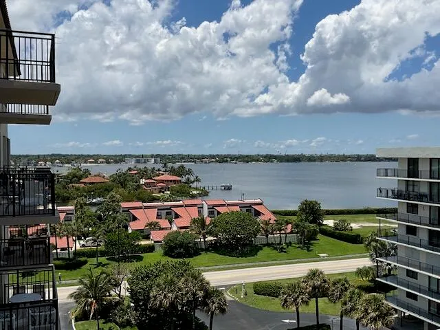 a view of a swimming pool with a lounge chair and palm trees