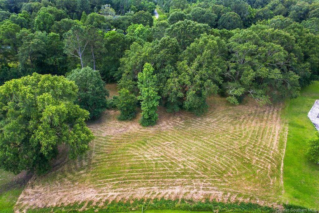 0 Jims Circle Ragley, LA 70657 - Photo 3 of 4