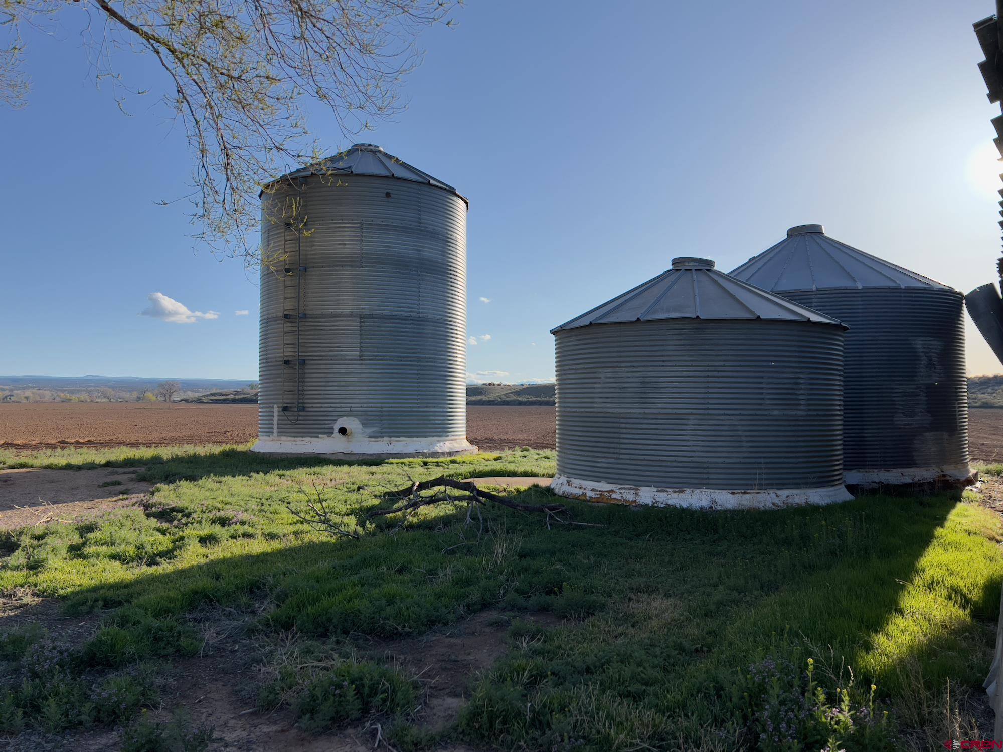 8139 5600th Road Olathe, CO 81425 - Photo 29 of 30 a view of a house with a yard and plants