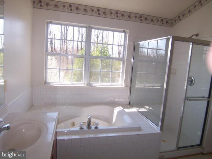 10102 Summershade Lane Springdale, MD 20721 - Photo 8 of 12 a bathroom with a sink and a large mirror