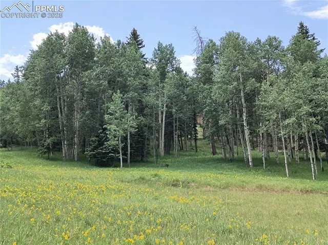 $179,900 | Will Scarlet Drive, Divide, CO 80814