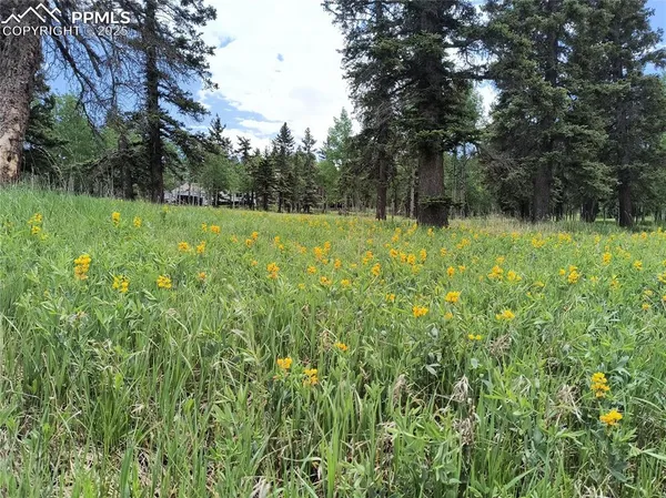 a view of outdoor space with backyard