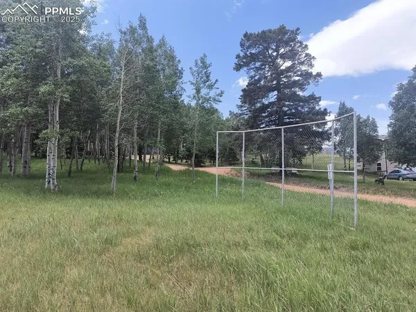 a green field with lots of trees