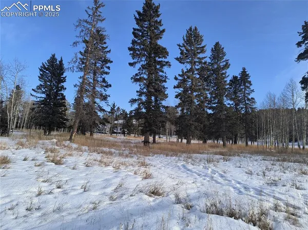 a view of a yard covered with snow in the middle