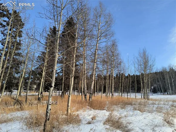 a view of backyard with green space
