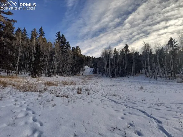 a view of outdoor space and covered with trees