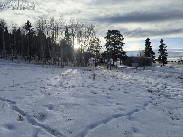 a view of road with trees