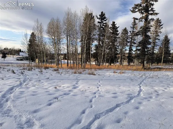 a view of dirt yard with trees