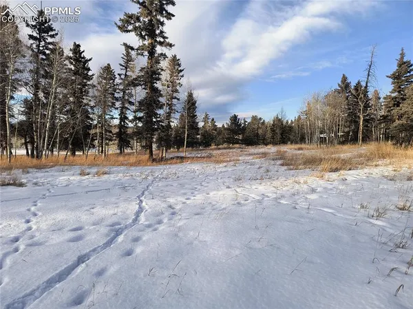 a view of a yard covered with snow in outdoor space